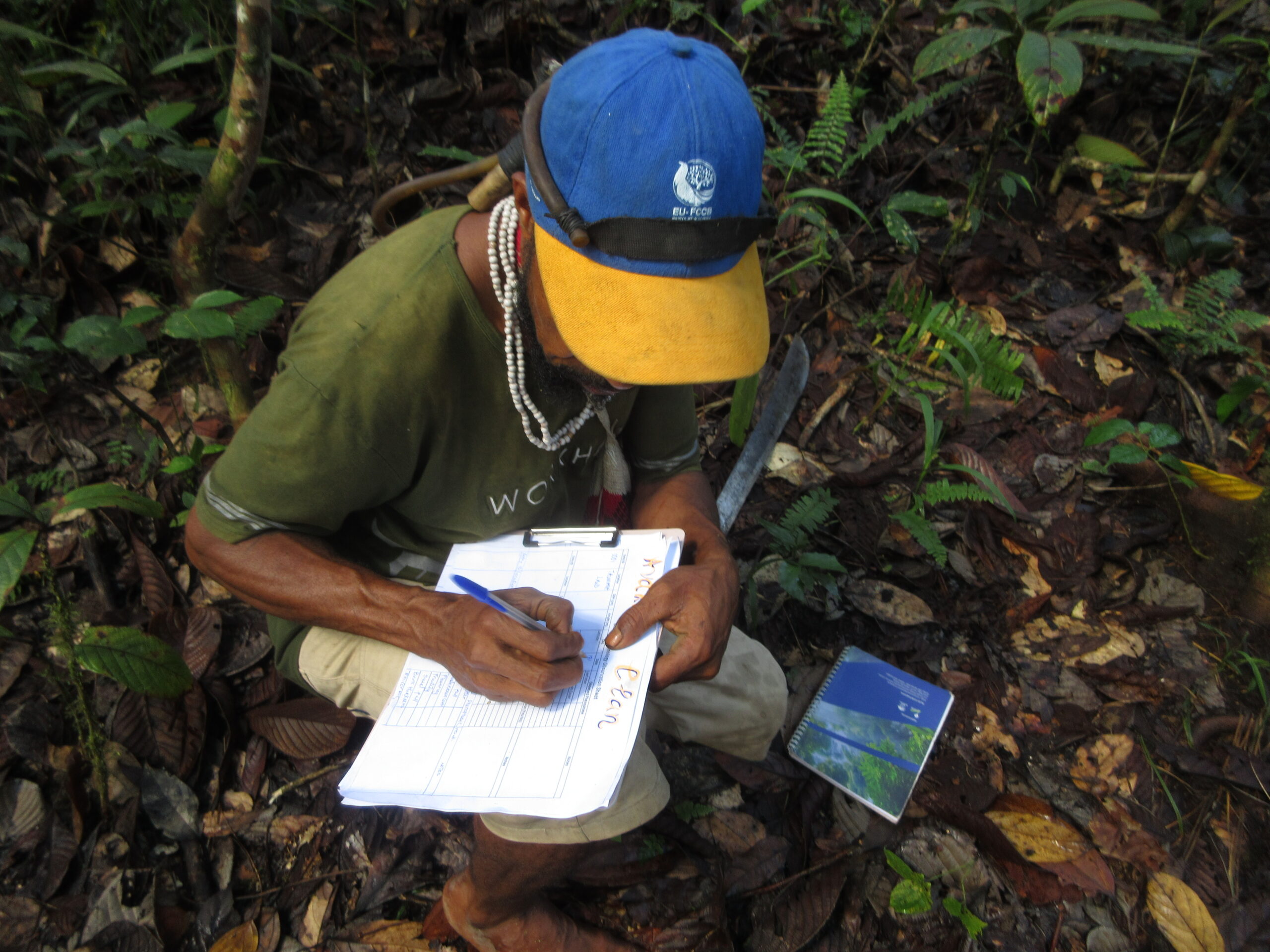 A man wearing a blue and yellow cap sits on the forest floor, recording observations on a clipboard amid leaf litter and tropical vegetation.
