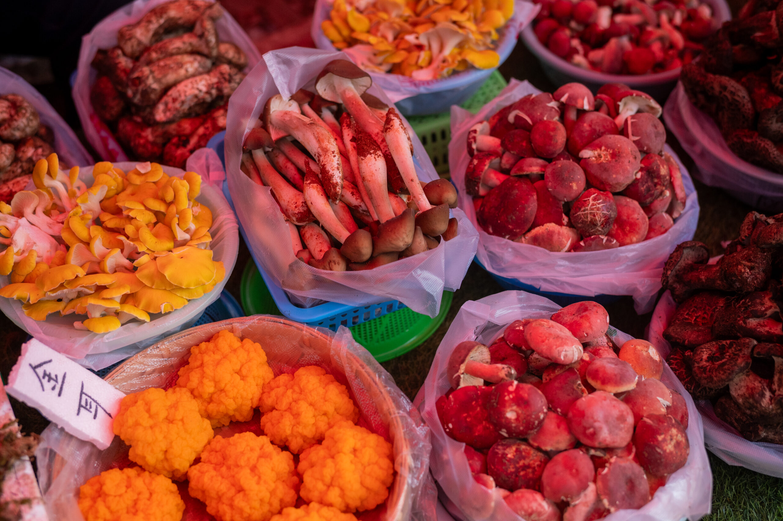 An assortment of wild mushrooms, including bright yellow, red and brown varieties, displayed in baskets and plastic bags at Mushuihua market in Kunming, China.