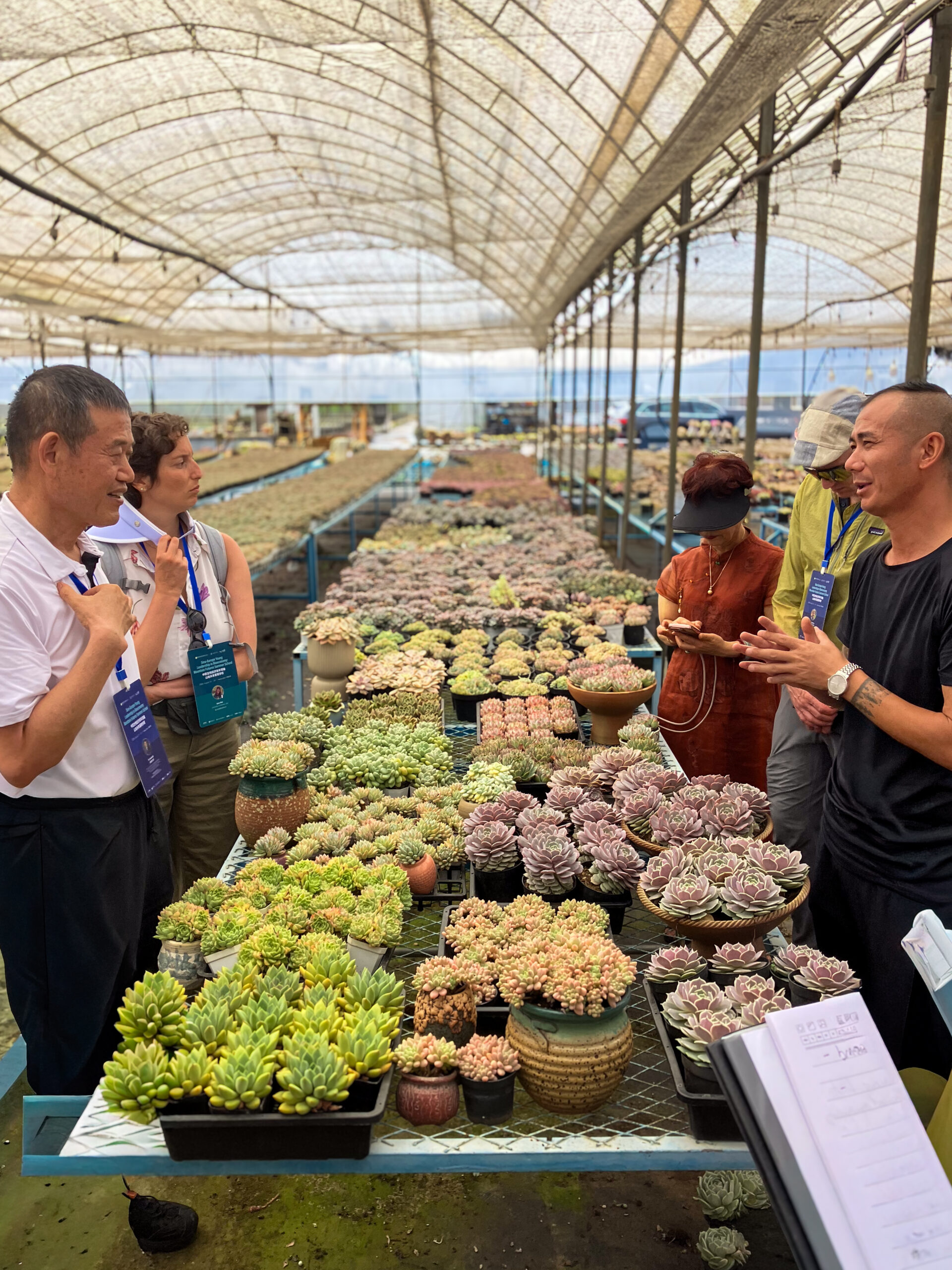 Visitors discuss rows of potted succulents at a nursery beneath a covered greenhouse structure in Jingning, China.