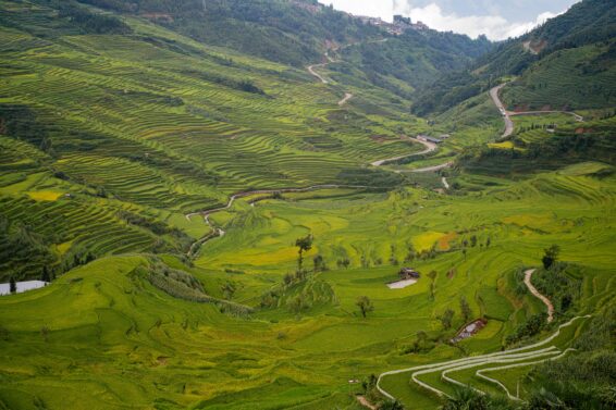 Green rice terraces follow the contours of the mountains in Yunnan, China.
