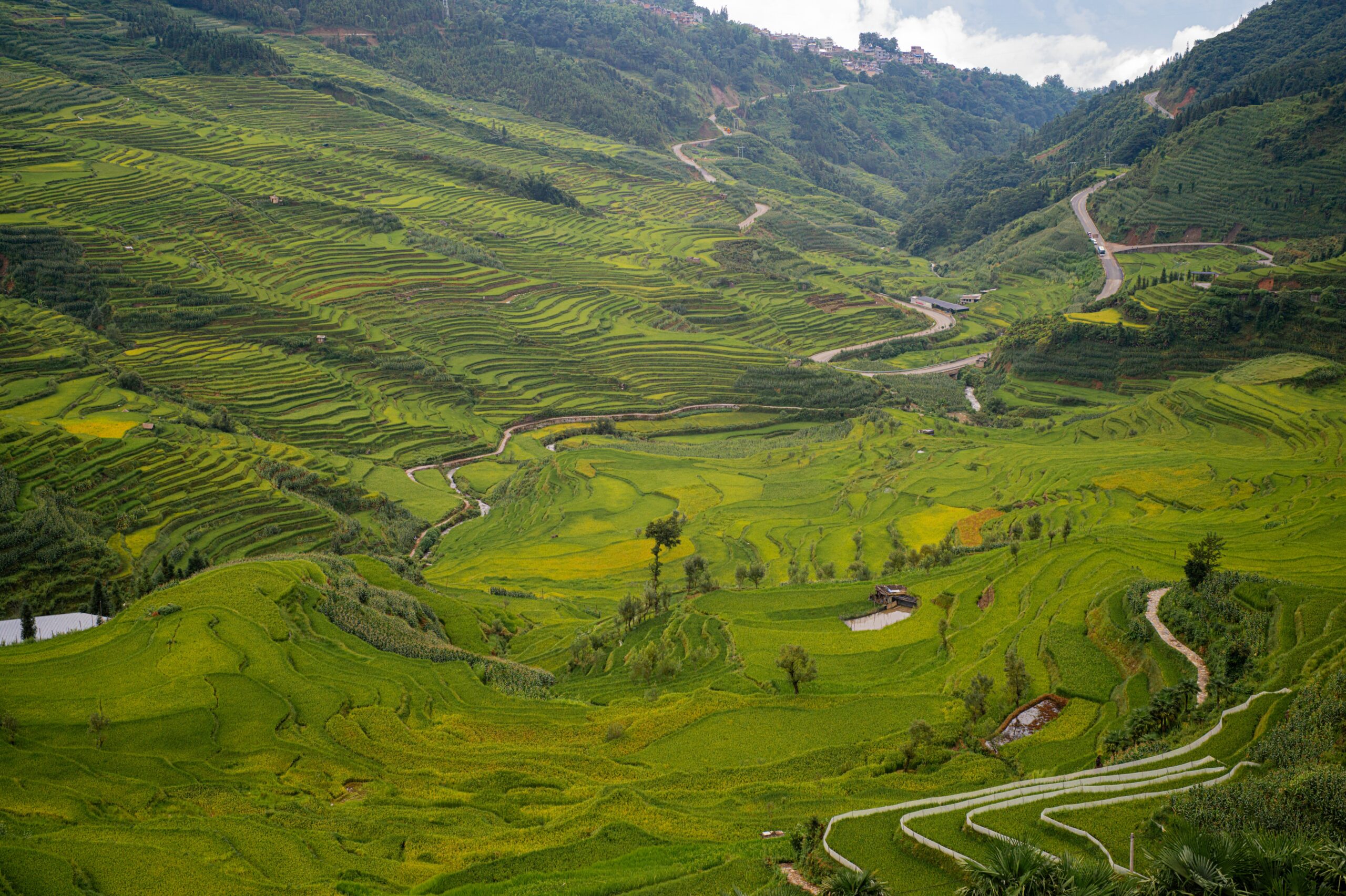 Young leaders from China and Europe test a shared vision for mountain bioeconomies