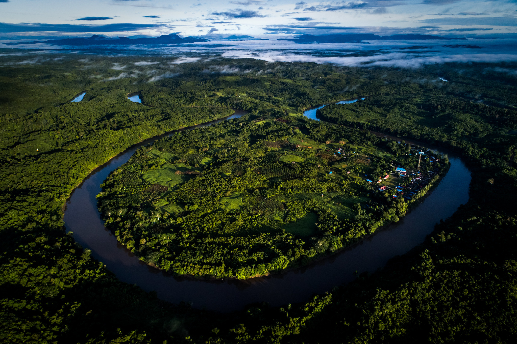 Membangun keadilan sosial dalam pasar kredit karbon di Indonesia: Pembelajaran dari Kalimantan Timur