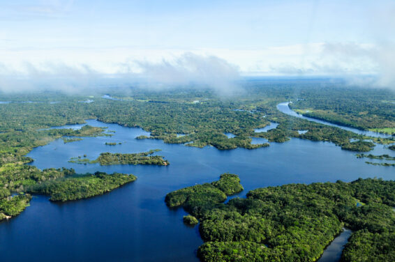 Aerial view of the Amazon Rainforest near Manaus, showing dense tropical forest and winding rivers symbolising ecosystems at risk of climate tipping points.