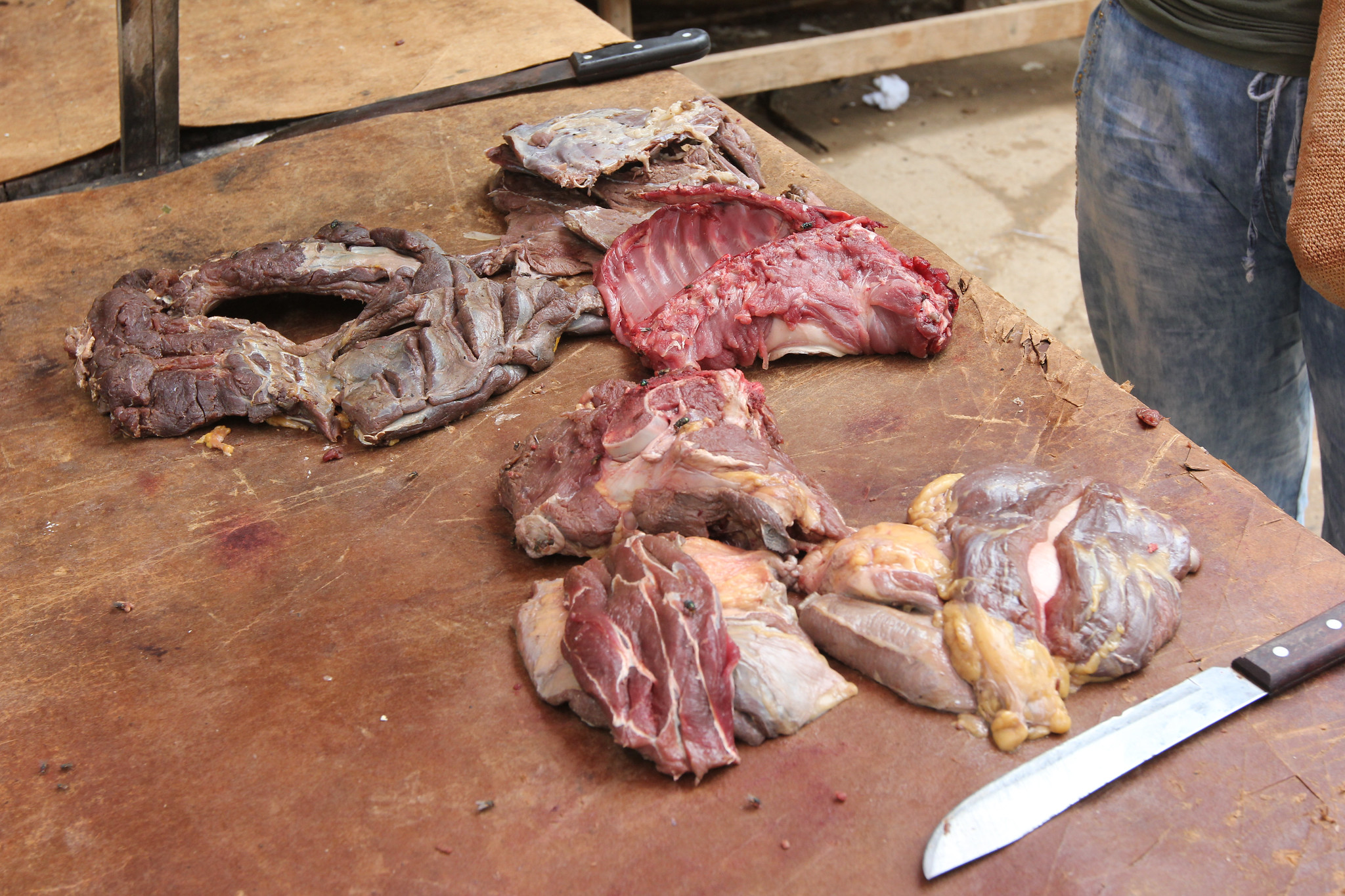 Pieces of raw wild meat prepared on a table in an Amazonian community