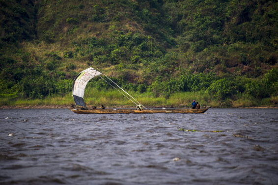 A wooden boat with a sail travels along the Congo River, bordered by dense forest in the Democratic Republic of the Congo.