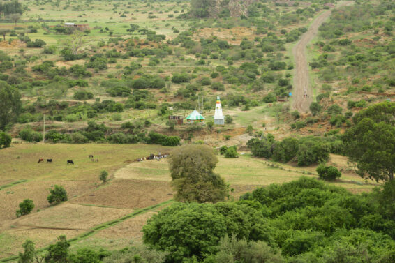 Aerial view of a restored landscape in Ethiopia showing green fields, scattered trees and farmland, symbolizing efforts to strengthen agroecology and forest restoration for climate resilience.
