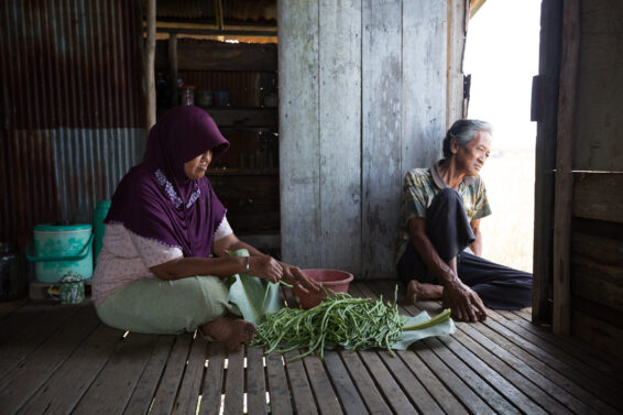 Woman sorting long beans on a wooden floor inside a rural home in Central Kalimantan, Indonesia, with an elderly man sitting by the doorway.