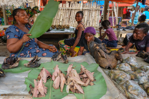 Wild meat displayed on banana leaves at a market stall in Yangambi, Democratic Republic of Congo, where traders sell smoked wildlife meat to local customers.