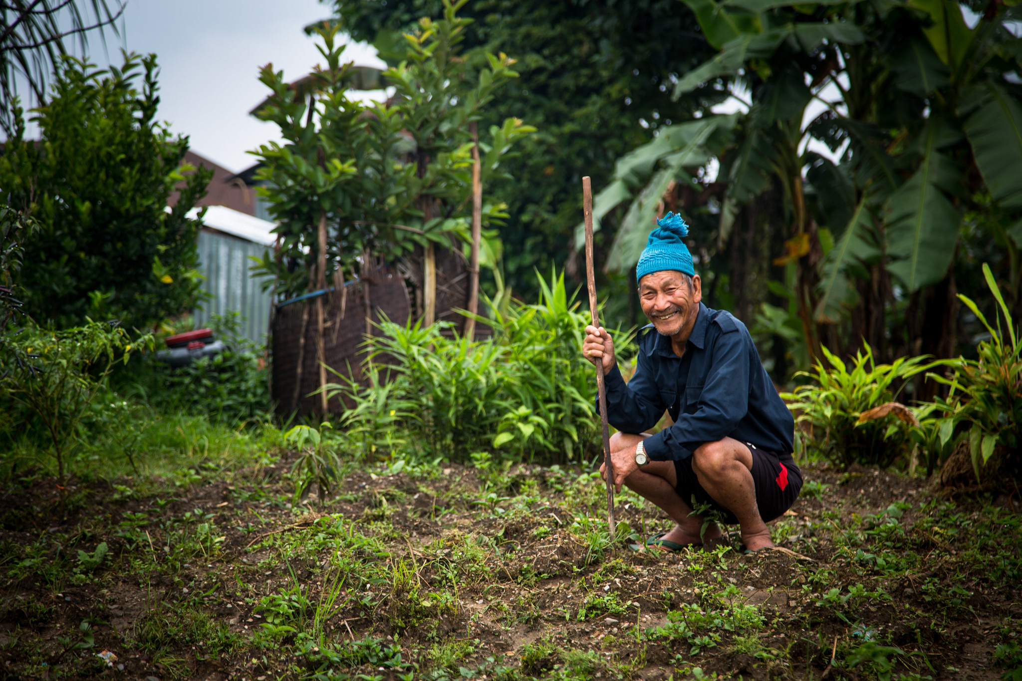 Farmer working in a small agroforestry plot near his home in Nalma village, Nepal.