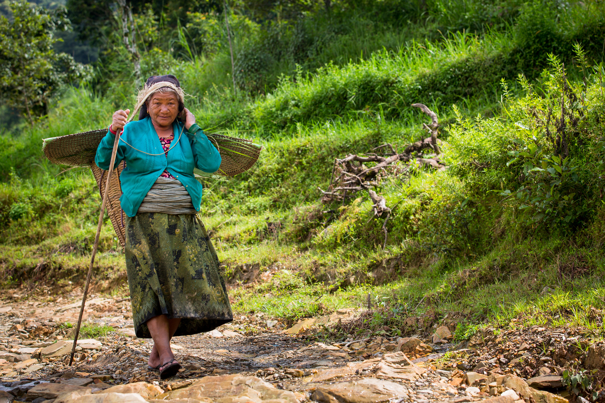 Elderly woman carrying a basket as she walks along a rural path near farmland in Nepal.