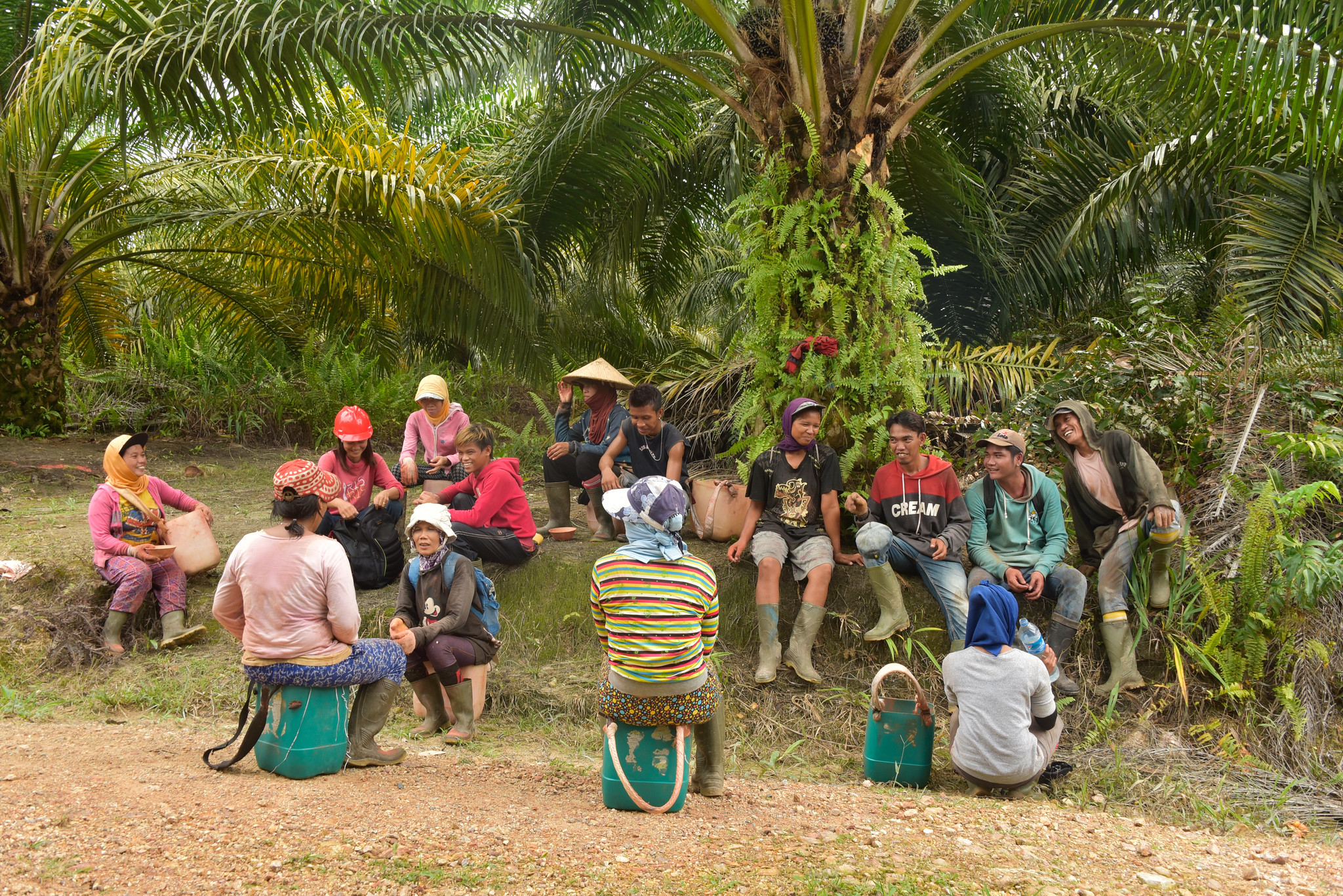 Group of oil palm workers sitting together on a roadside in a plantation area in West Kalimantan, Indonesia.