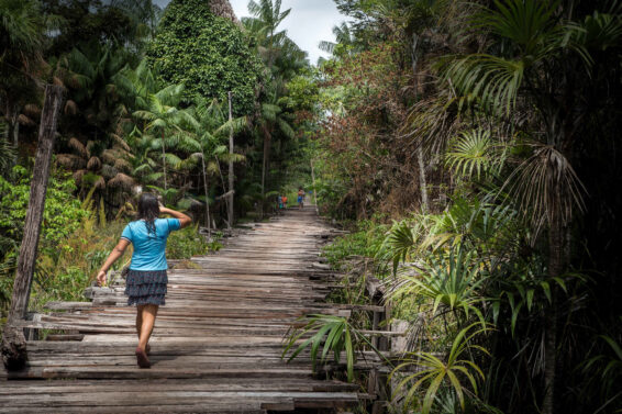 A person walks barefoot along a wooden walkway through dense tropical forest in Brazil, illustrating the connection between local communities and the natural ecosystems that store carbon.