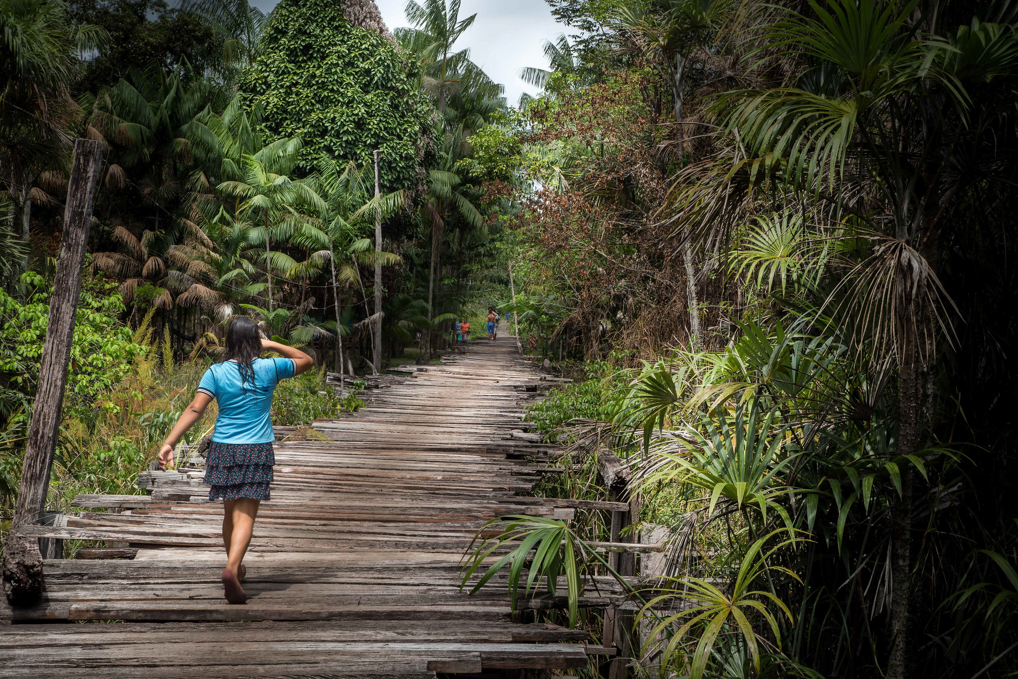 Will natural climate solutions count in new UN carbon credit scheme?