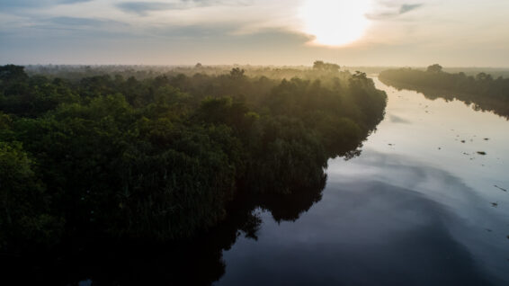 Aerial view of the Sebokor River and peatland forest in South Sumatra, Indonesia, with morning haze rising above the canopy, showing landscapes vital for a Southeast Asia haze-free future.