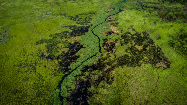 Aerial view of dense green peatland in South Sumatra, Indonesia, showing the type of landscape targeted by regional fire-prevention efforts for a Southeast Asia haze-free future.