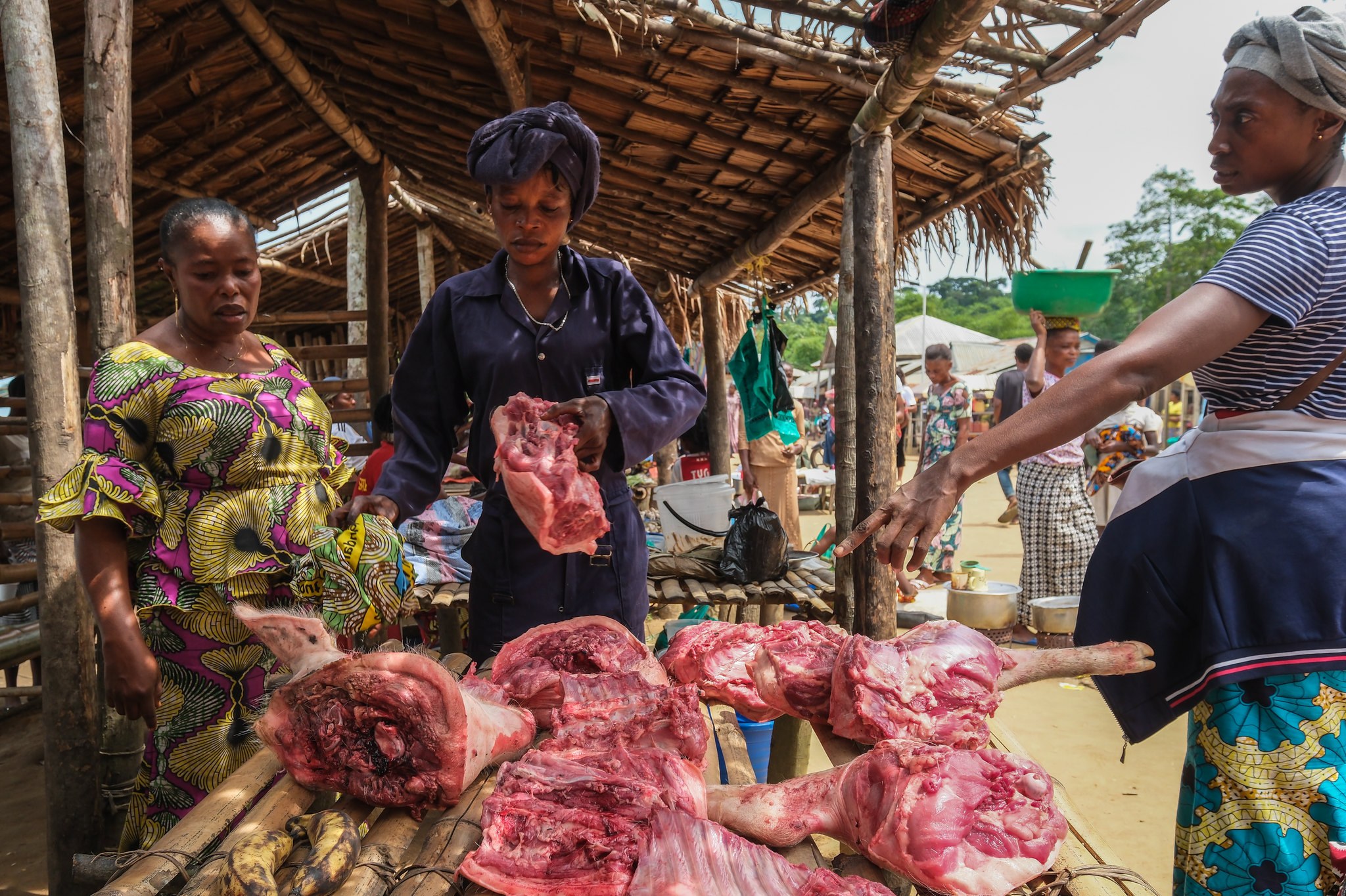 Wild meat being sold by women at a market stall in Yangambi, Democratic Republic of Congo.
