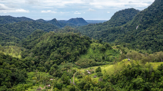 Aerial view of forested hills and village gardens in the Managalas Conservation Area, Papua New Guinea.