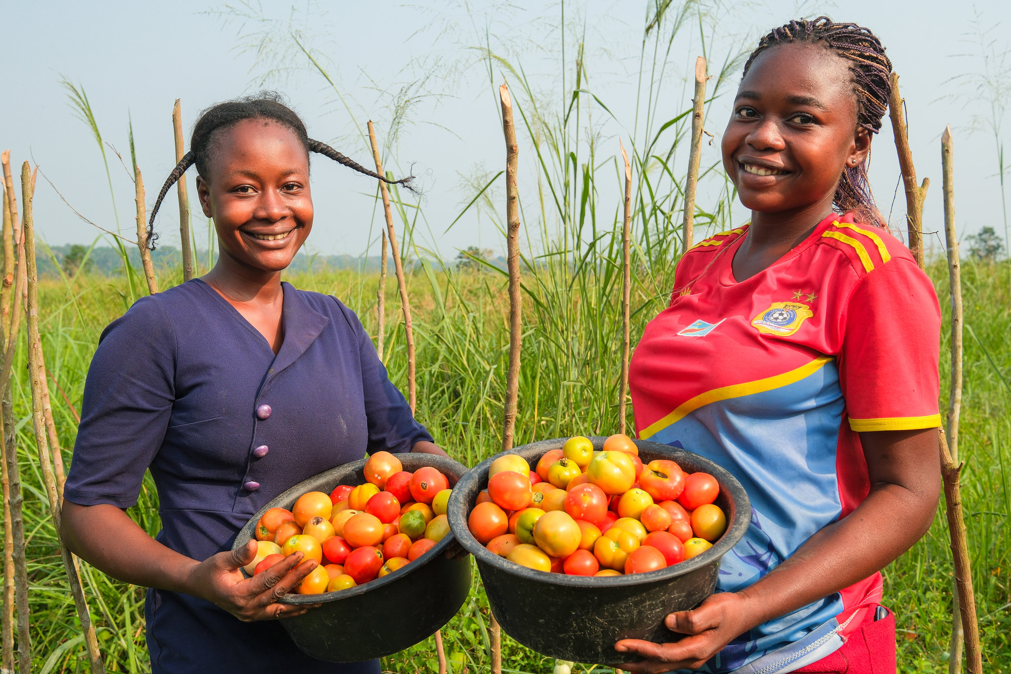 Two women holding bowls of freshly harvested tomatoes in Yangambi Engagement Landscape, Democratic Republic of the Congo.
