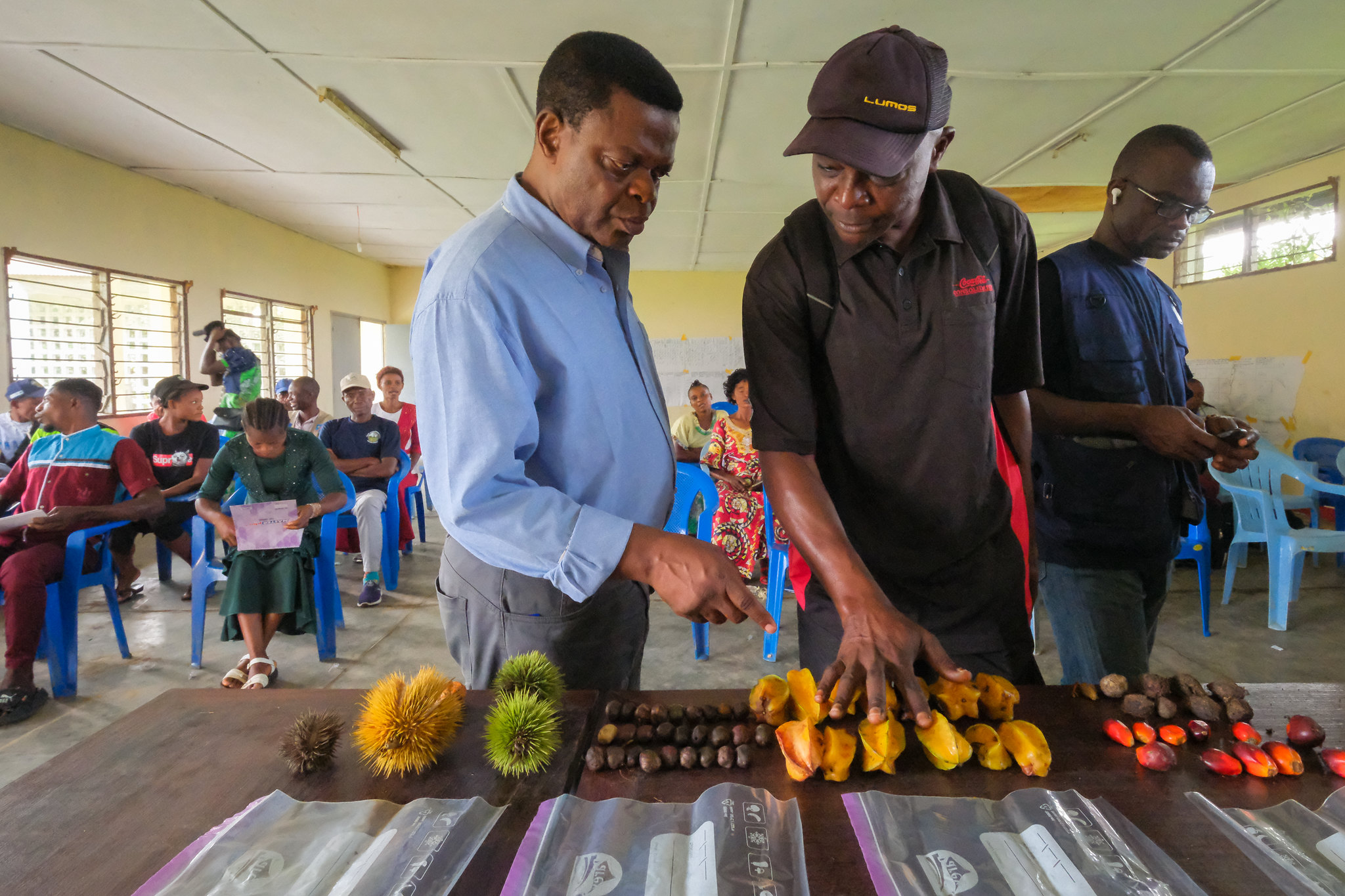Participants compare different food crops during a NutriScapes workshop session in Yangambi, Democratic Republic of the Congo.