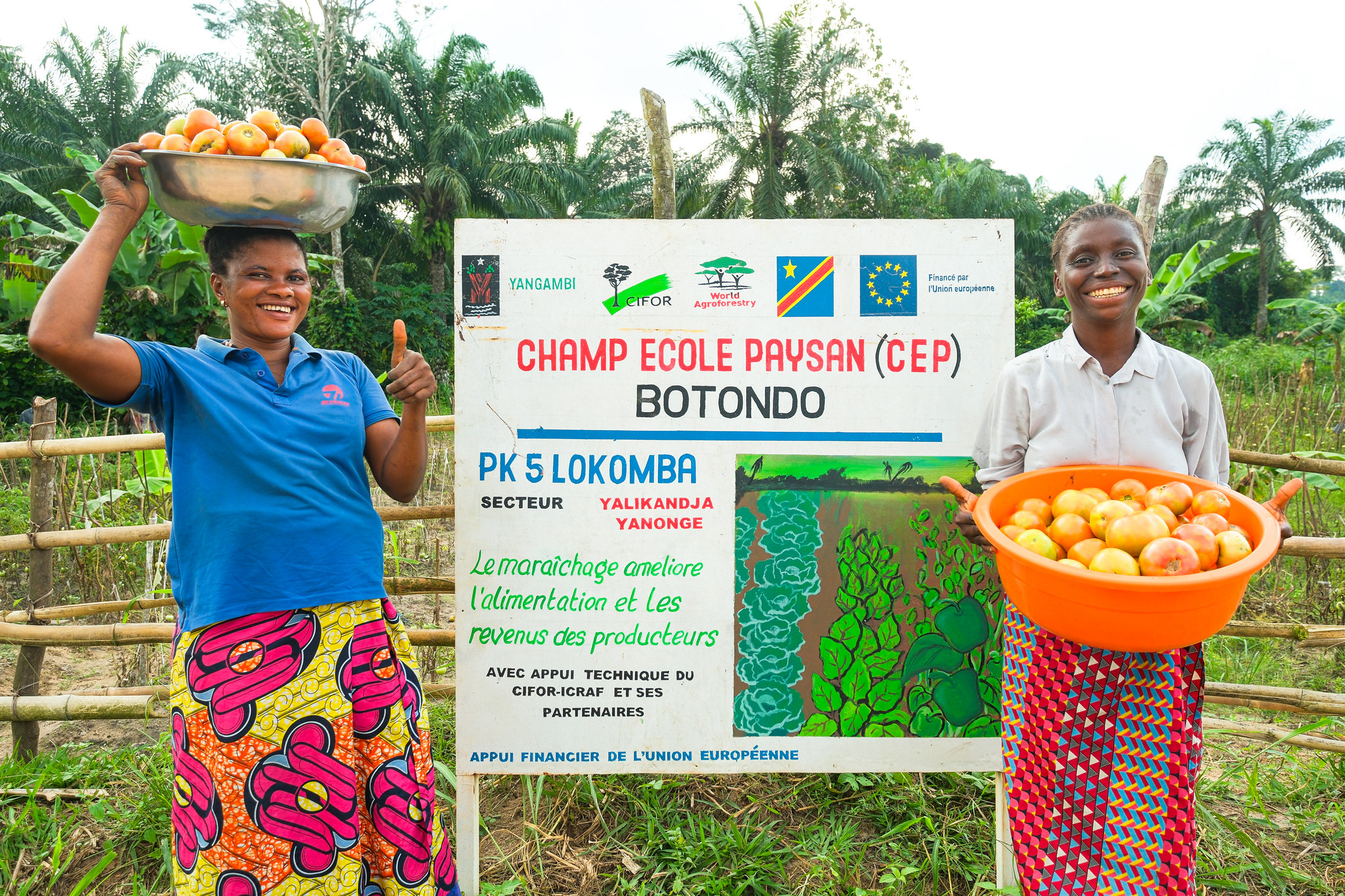 Two women holding bowls of harvested tomatoes beside a Farmer Field School sign in Yangambi, DR Congo