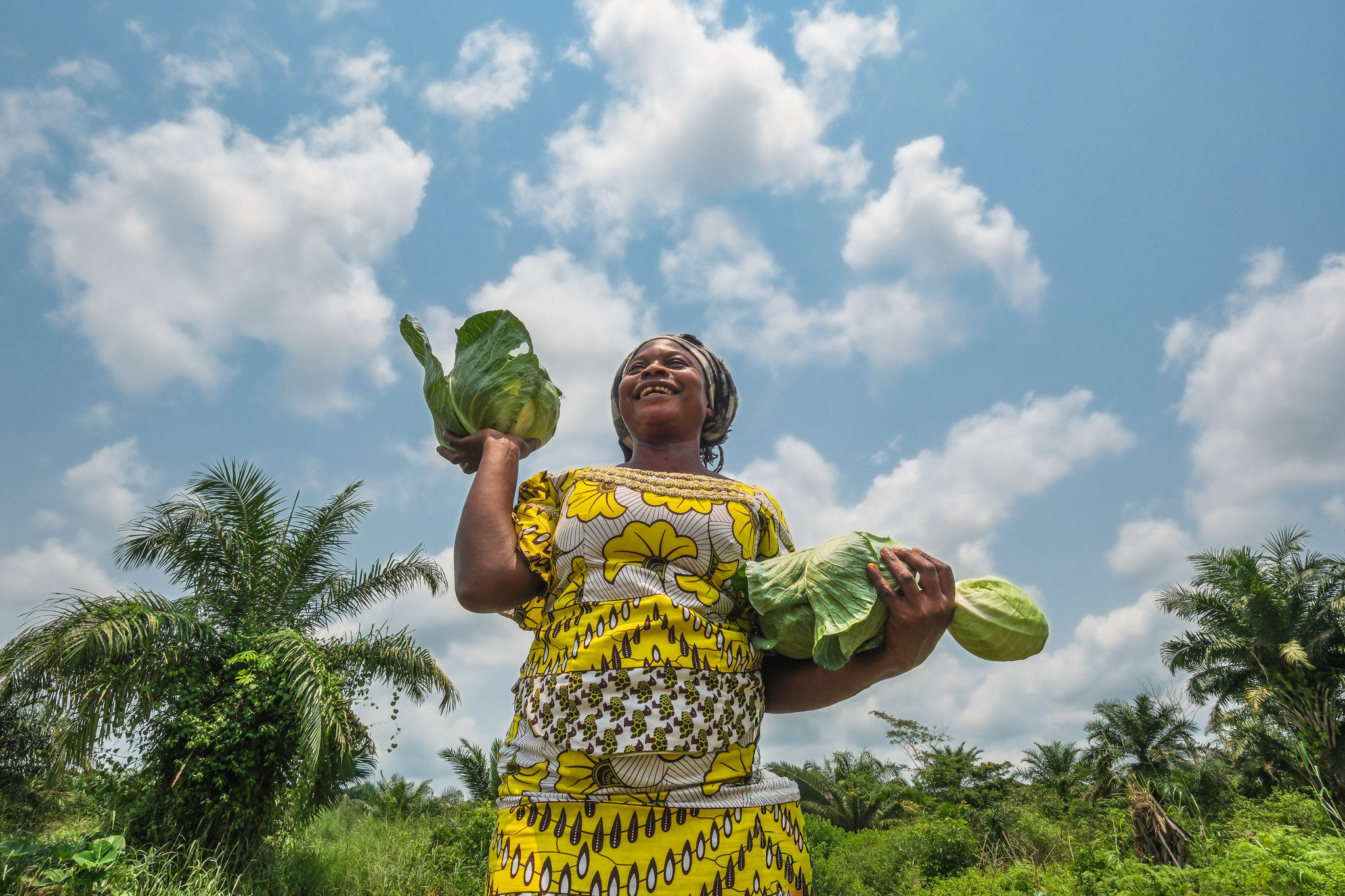 Woman holding harvested cabbages at a Farmer Field School site in Yangambi, DR Congo