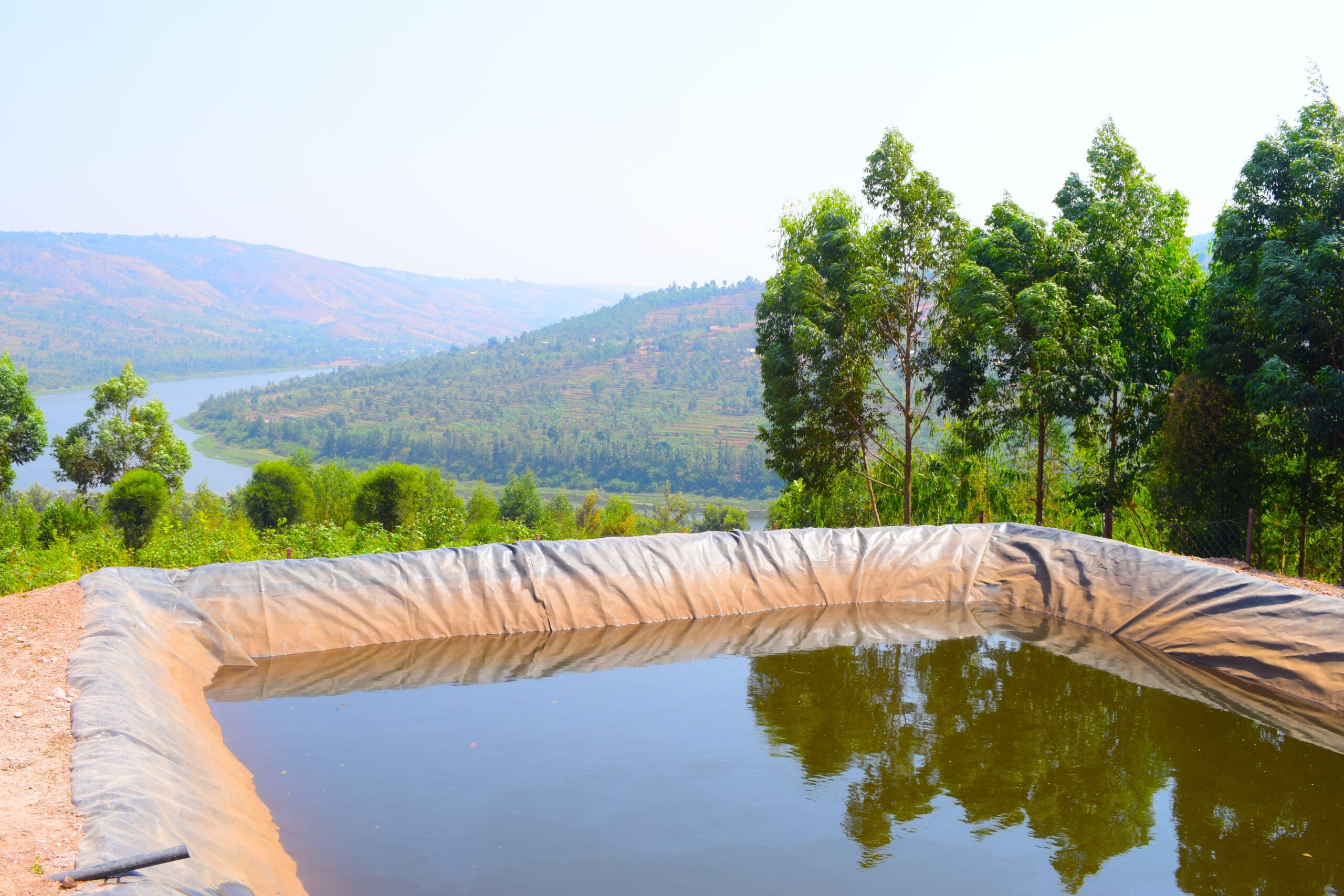 Water flowing through irrigation channels to crops during the dry season.