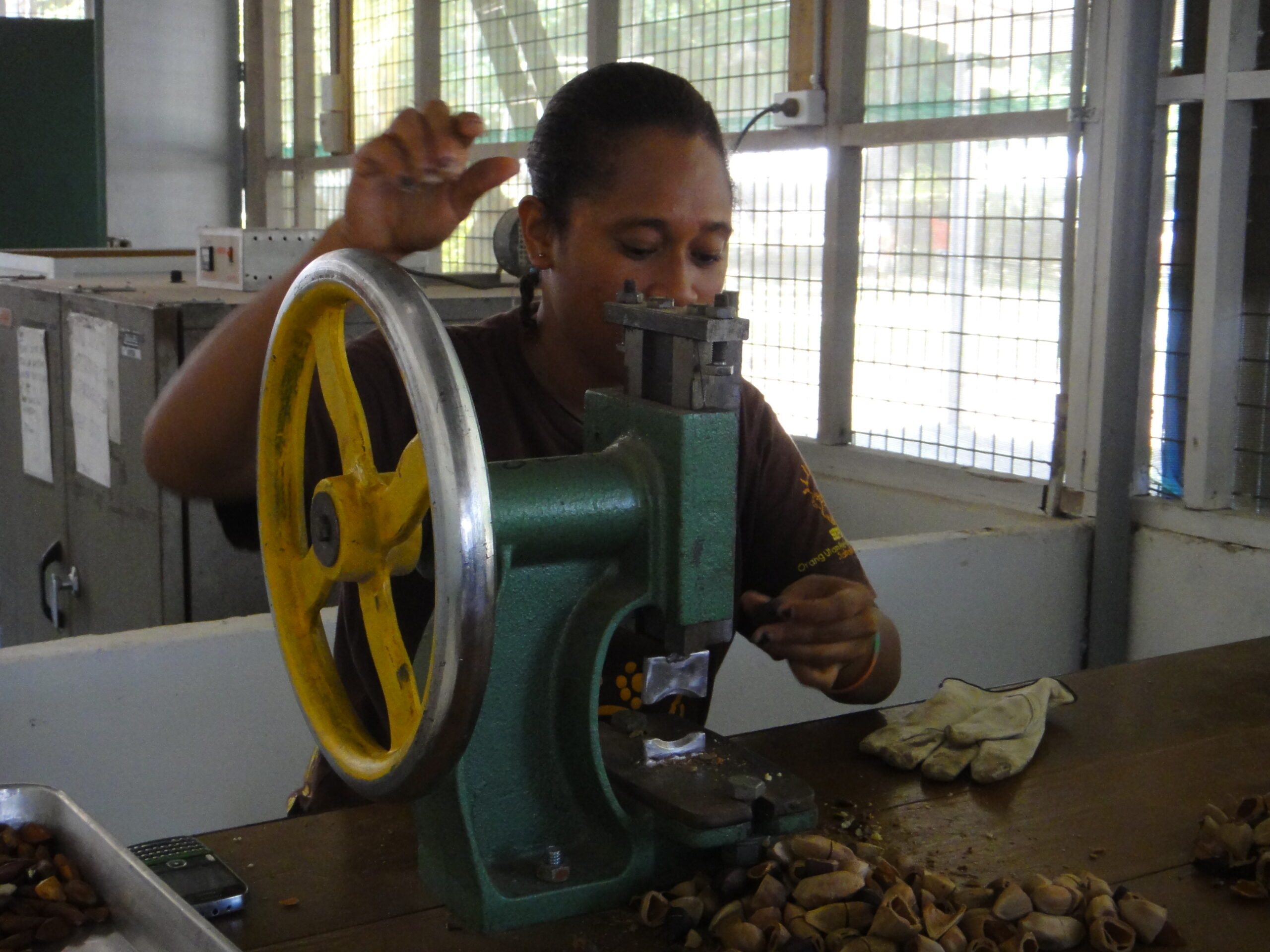 A woman in Kokoda uses a mechanical press to crack galip nuts during local processing.