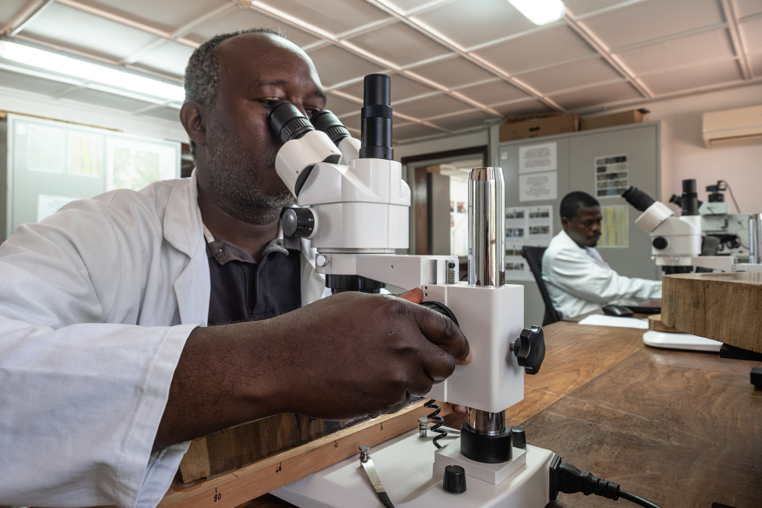 Researcher looking through a microscope while another works in the background in a lab.