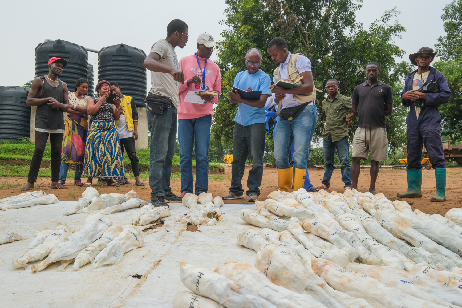 Community training forest restoration Congo Basin Yangambi nursery planting capacity building
