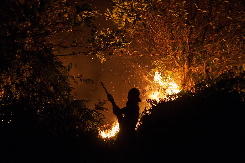 Fuego y neblina