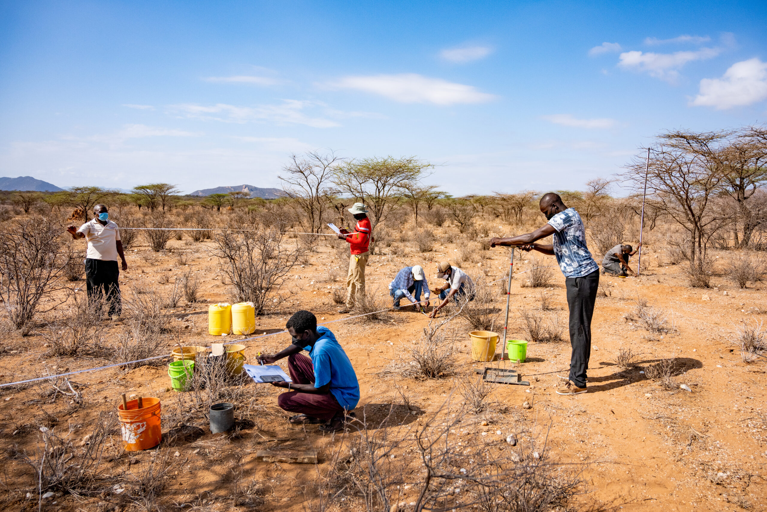 Researchers measuring soil and vegetation indicators in a dryland site as part of the Land Degradation Surveillance Framework.