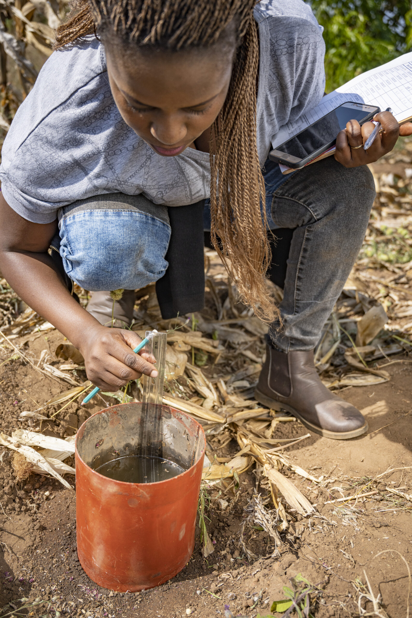 Technician in Malawi measuring soil infiltration using a metal ring during LDSF fieldwork.