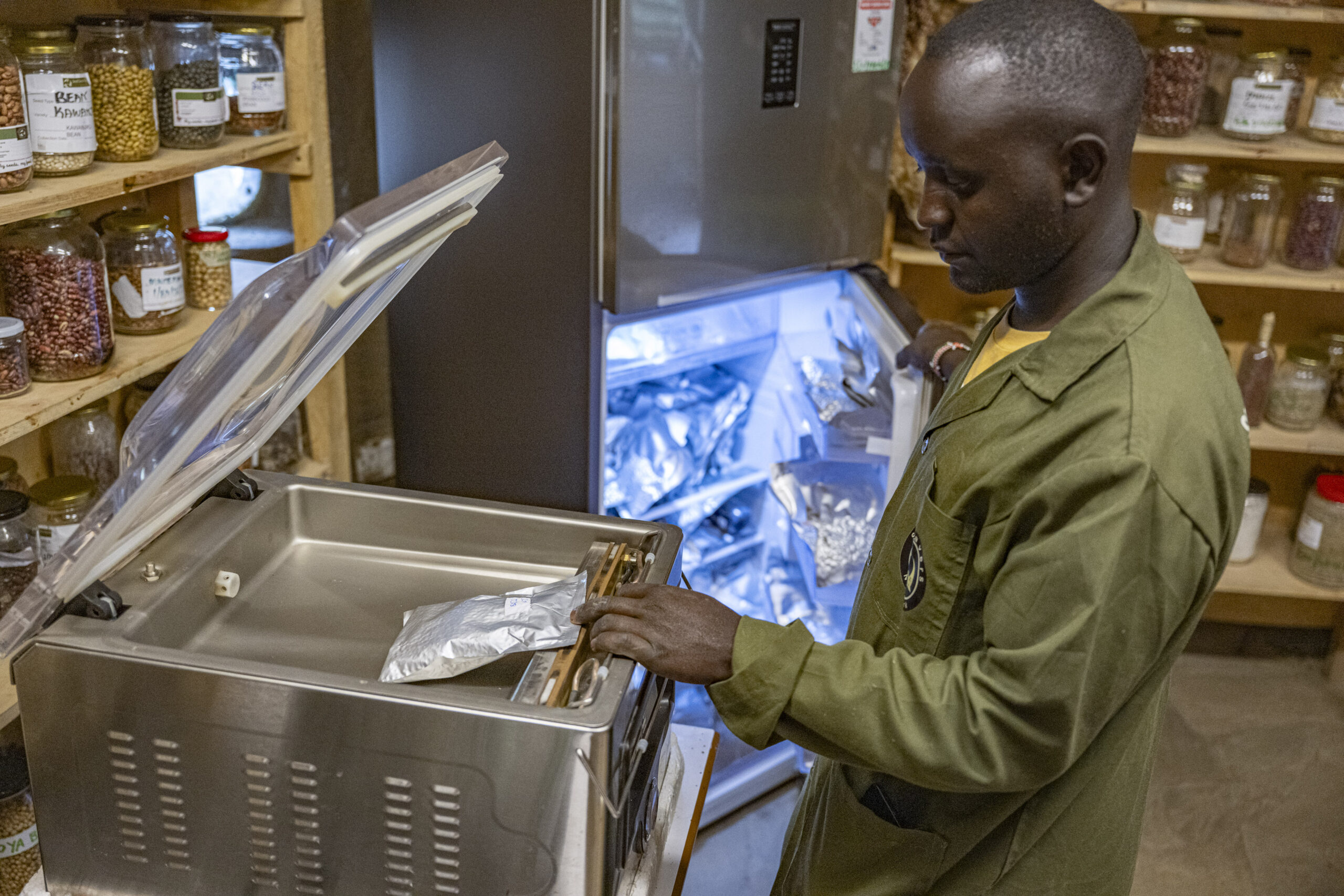 Technician storing labelled tree seed samples in a cold storage unit