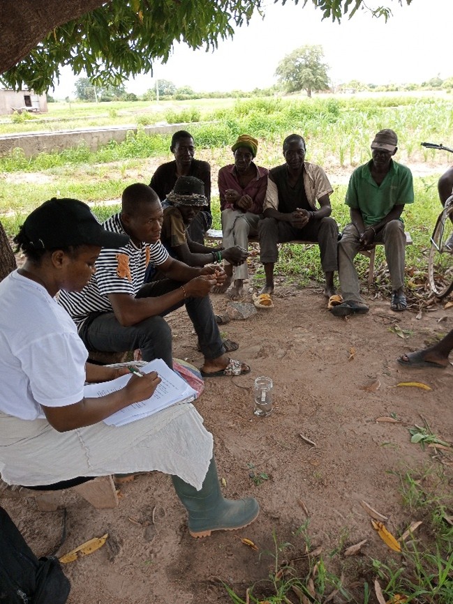 Sandra Owusu-Gwamfi taking notes while interviewing local frog harvesters during field research on amphibian use in West Africa.
