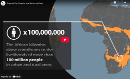 Tropical Dry Forests: real facts, real fast