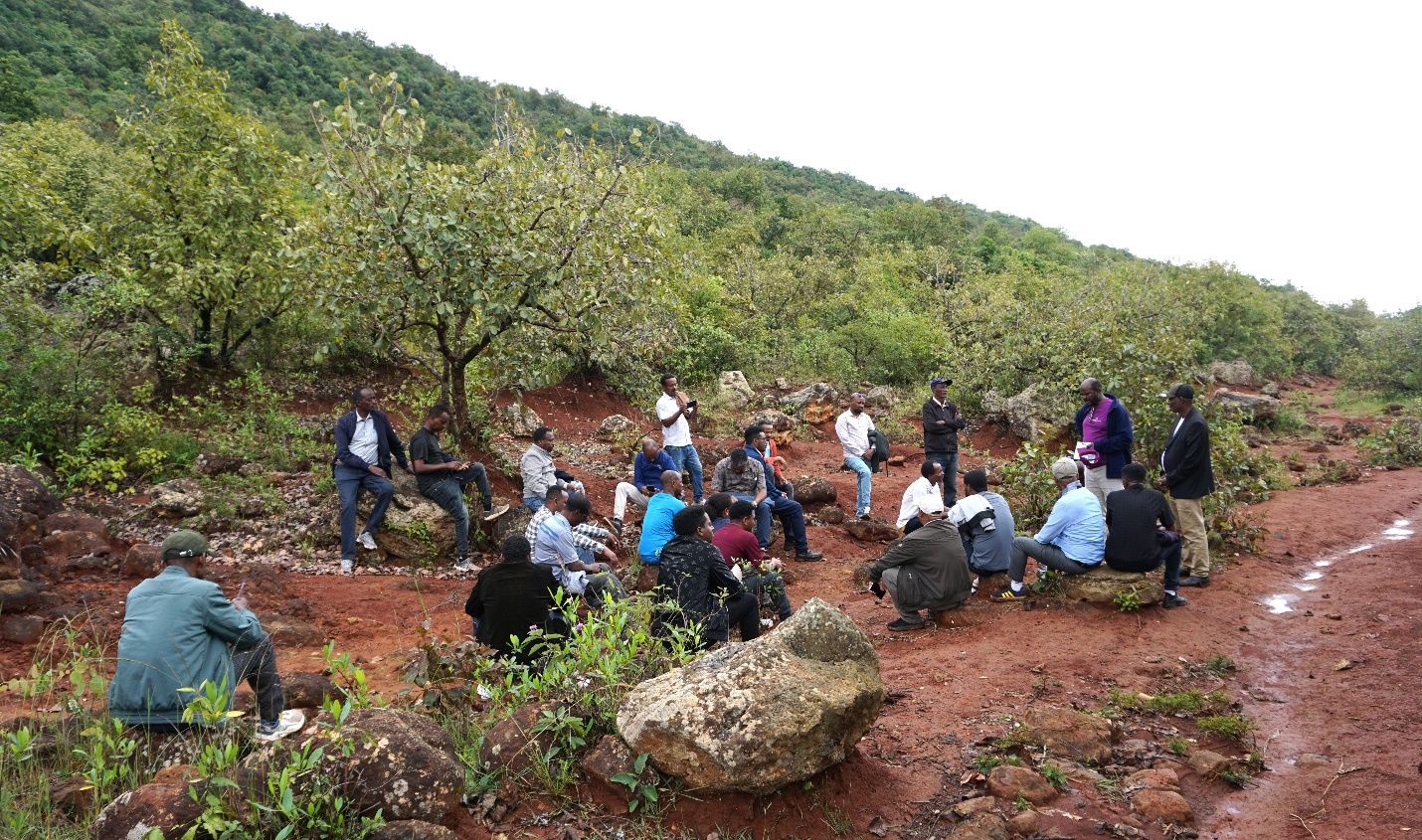 A group of visitors sitting and standing on a restored hillside during a field visit to the Humbo Carbon Project in southern Ethiopia.
