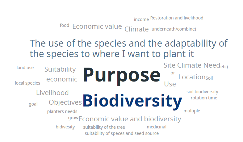 Word cloud showing participants’ views on the most important considerations when deciding which tree species to plant, based on responses to a live webinar poll.