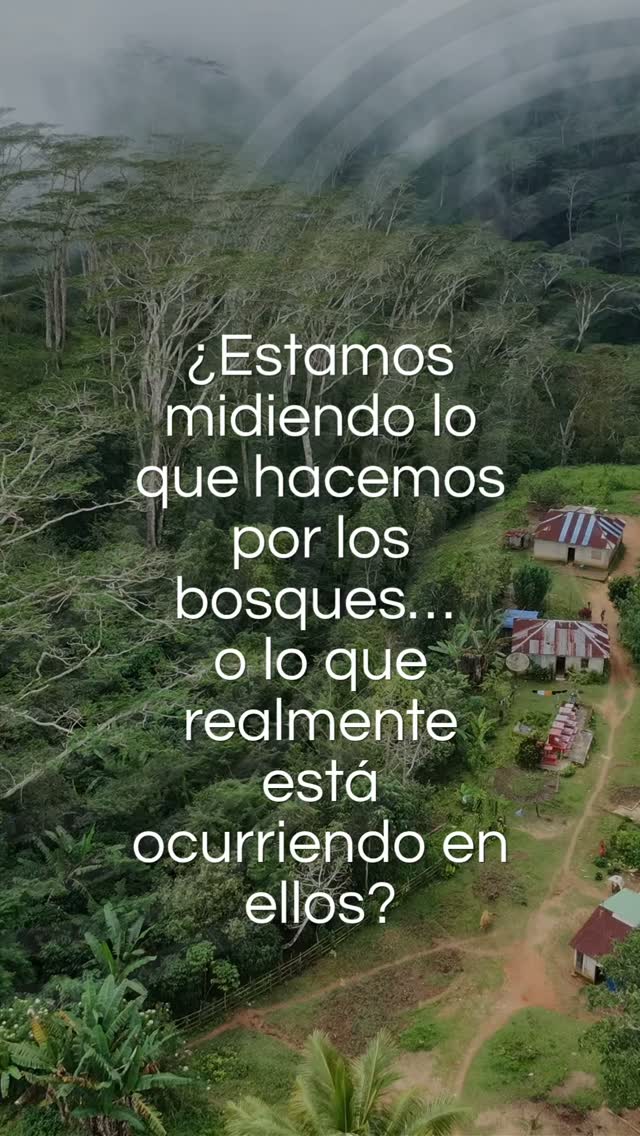 Instagram video